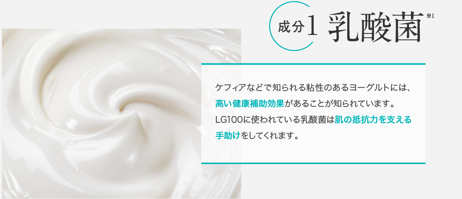 成分1.乳酸菌
