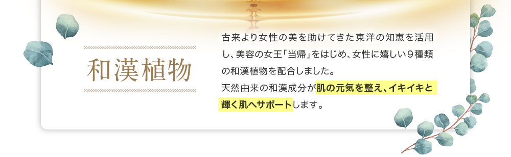 和漢植物は肌の元気を整え、イキイキと輝く肌へとサポートします