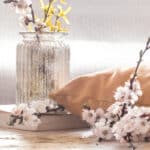 私たちに身近な菌のおはなし[Spring 2025]