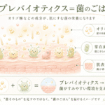人と菌～プレバイオティクスはお腹だけじゃない！ 乾燥・うるおい不足が気になる人へ、菌を“育てる”美容の考え方～美肌菌のBioMedi